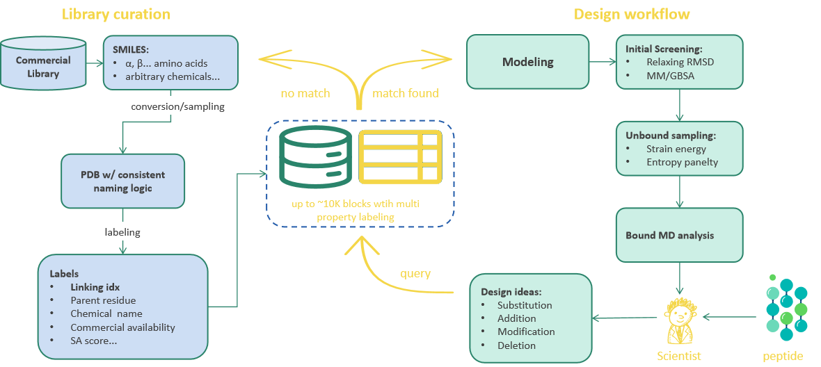 Internal cyclic peptide database workflow